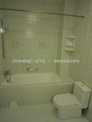 Emerald Hill Road (D9), Terrace #253330741